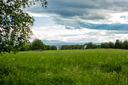 Summer landscape on with view over Oviksfjallen hills in Jamtland, Swedenの写真素材