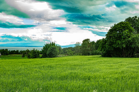 Summer landscape on Rodon island, with view over Oviksfjallen hills in Jamtland, Sweden