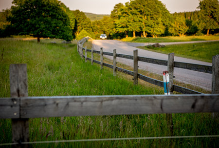 Fence by country roadの写真素材