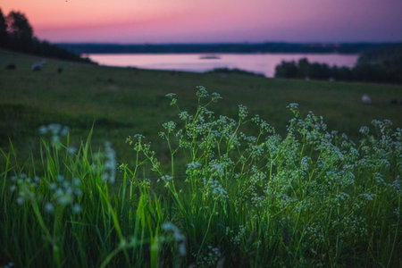 Sunset over Finjasjon lake seen from Hovdala Hills, Hassleholm, Swedenの写真素材