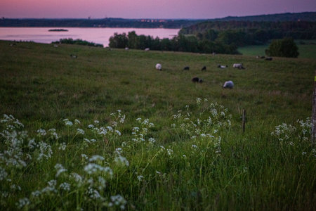 Sunset over lake seen from Hovdala Hills, Hassleholm, Swedenの写真素材