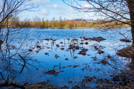 Outlook over lake Faglasjon in Scania, Sweden
