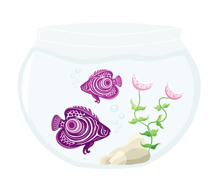 Aquarium with stones, alga and two floating small fishesのイラスト素材