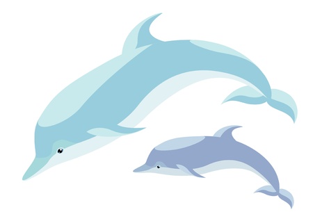 Two nice dolphins mum and cubのイラスト素材