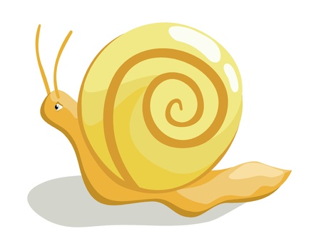 Beautiful creeping snail on white backgroundのイラスト素材
