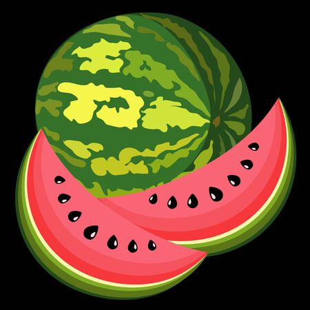 The big, juicy water-melon on black backgroundのイラスト素材