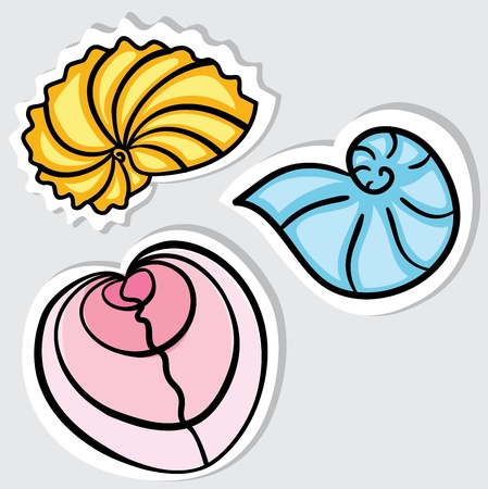 Shells  Set of beautiful cockleshells for your design のイラスト素材