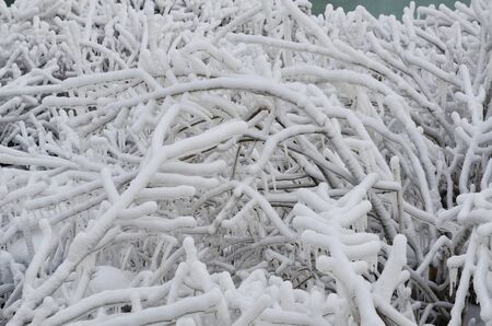ice formation niagra falls 2013の写真素材