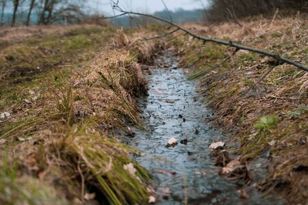 ditch with a water in the wild field and forest on backgroundの写真素材