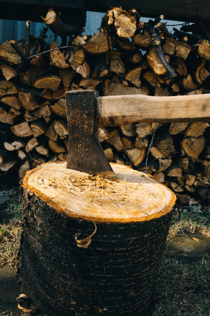 An axe with a wooden handle stuck in a wooden stump, harvesting firewood in the forest