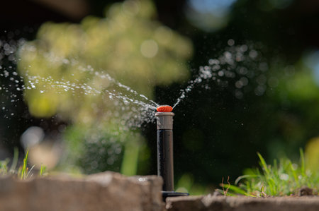 A Garden Sprinkler Efficiently Watering Lush Green Grass Under Bright Summer Sunlight
