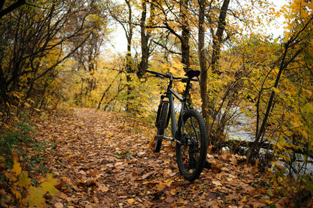 Mountain bike on autumn forest trailの写真素材
