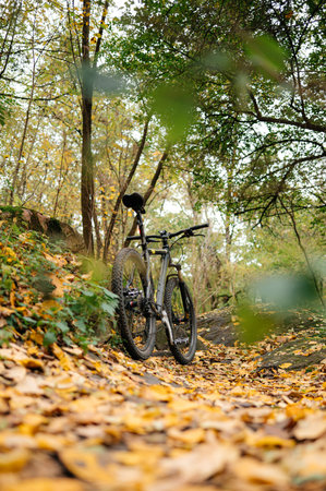 Mountain bike on autumn forest trailの写真素材