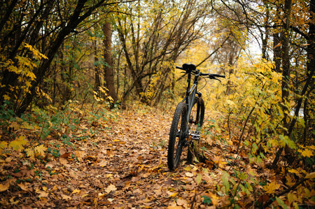 solitary bike standing on trail, surrounded by golden leaves and tall trees, narrow dirt track winding into misty distance, soft diffused light creates warmの写真素材