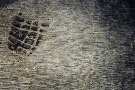 Background wooden parquet natural light with shoe printの写真素材