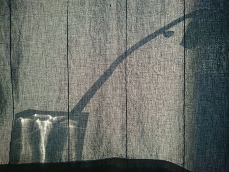 Houseplant silhouette