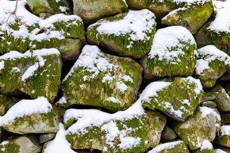 Rocks in a stone wall covered with moss, lichen and snowの写真素材