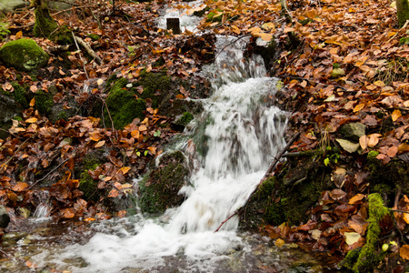 A stream and leaves in novemberの写真素材