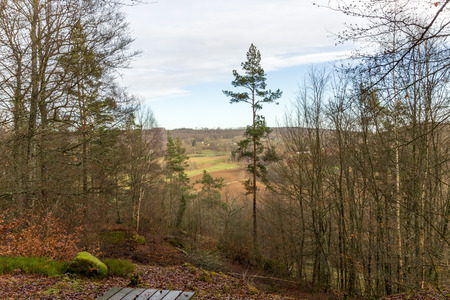 A view from a hill in autumnの写真素材