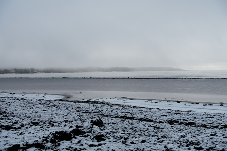 Shoreline covered in snow and seaweed in winterの写真素材