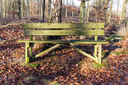 Old green bench to rest on in a forestの写真素材