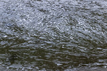 Shards of ice moving with the wavesの写真素材