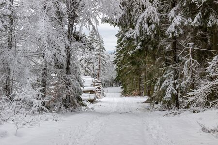 A road leading through a scene with snow covered treesの写真素材