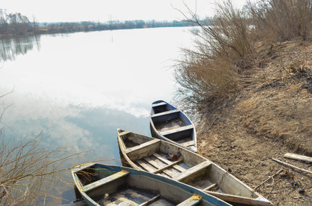 Boats on the river bank in the forestの写真素材