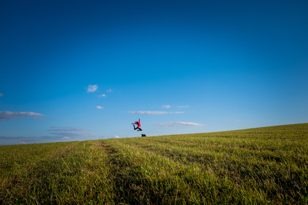 girl and dog play on meadow and blue skyの写真素材