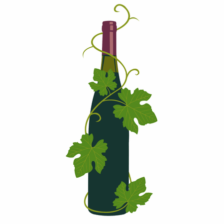 wine and grape leavesのイラスト素材
