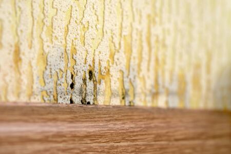 A section of the wall with embossed wallpaper near the baseboard is struck by a black domestic fungus and a blurred background.の写真素材