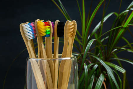 Toothbrushes made of bamboo with colorful bristles are in a glass cup on a dark background and a blurred flower with green leaves.の写真素材