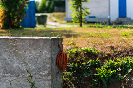 A wire in an old orange-colored protective casing sticks out of the concrete wall.