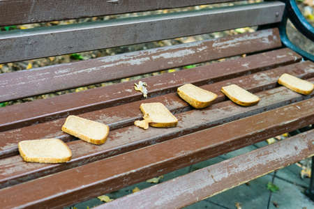 Grey bread is laid out in a row on a wooden bench in the park