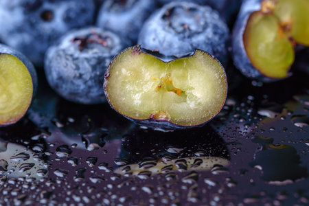 Macro. Blueberry berry cut in half. The bones and internal structure are visible.の写真素材