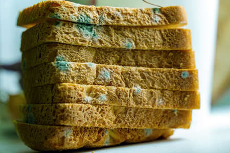 White sliced bread affected by green mold. Stands on the windowsill.の写真素材