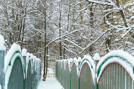 Narrow path between two fences. Everything is covered with snow.