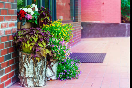 Various flowers and plants adorn the entrance to the building.