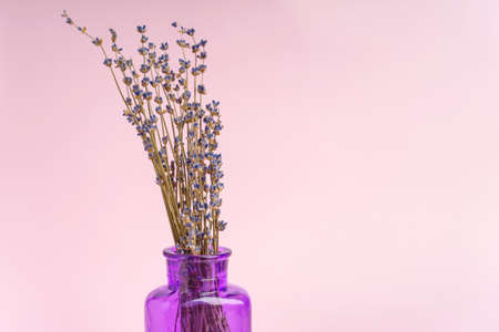 An old purple glass vase with dried lavender flowers on a pink backgroundの写真素材