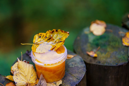Autumn leaf in a jar of honey in the park for animal feedingの写真素材