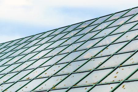 The glass roof of the greenhouse is covered with autumn leaves
