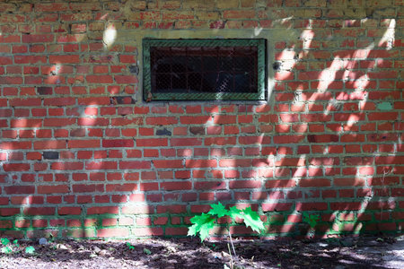 Old brick wall with window with metal grilleの写真素材