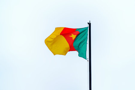 The flag of the Republic of Cameroon flutters in the wind against the skyの写真素材