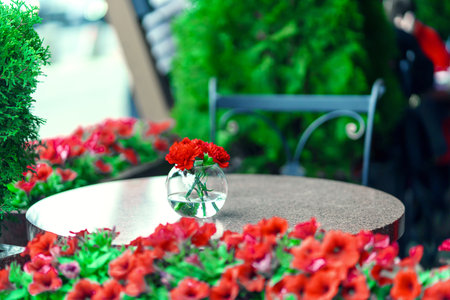 Three red carnation flowers stand in a round vase on a round stone tableの写真素材