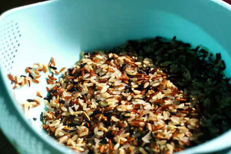 A mixture of four types of rice white, brown, red and black in a plastic blue dish for washingの写真素材