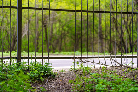 A hole in the metal fence through which the path has already been trodden. The concept of violation of prohibitions.の写真素材