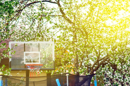 A basketball hoop and a children's trampoline stand next to blossoming apple trees in the gardenの写真素材