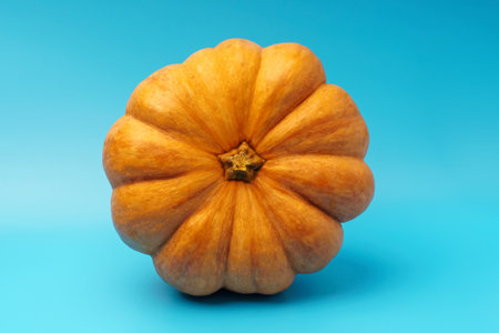 Ripe orange pumpkin on blue background top viewの写真素材