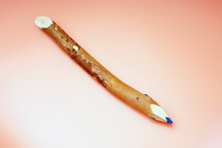 A large pencil is made of a wooden stickの写真素材