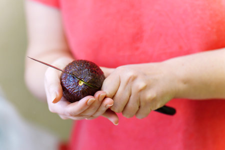Girls hands cutting avocado with pitの写真素材